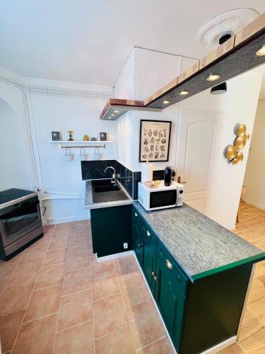 une cuisine avec des placards verts et un comptoir dans l'établissement Appartement « Dolce Vita », à Vitry-le-François