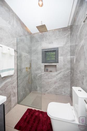 a bathroom with a shower and a white toilet at Cozy 2 bedroom @the Rosedale in Accra