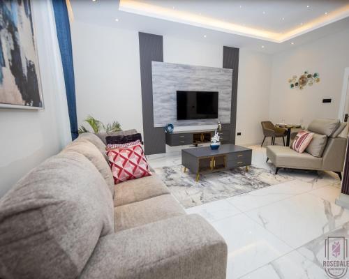 a living room with a couch and a tv at Cozy 2 bedroom @the Rosedale in Accra