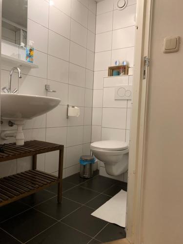 een badkamer met een wastafel en een toilet bij Studio in the city center of Leeuwarden in Leeuwarden