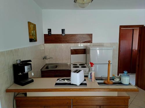 a kitchen with a counter with a stove and a refrigerator at Apartman Donna in Zaboric