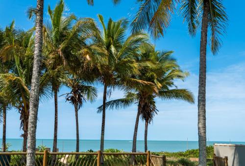 Une rangée de palmiers sur la plage dans l'établissement Casa Mandala Corumbau, à Corumbau