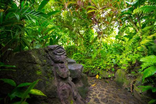 a stone statue in the middle of a lush green forest at Rohotu Fare in Bora Bora