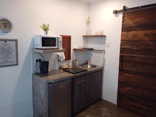 eine kleine Küche mit einer Spüle und einer Mikrowelle in der Unterkunft The Oak Tree in Queenstown