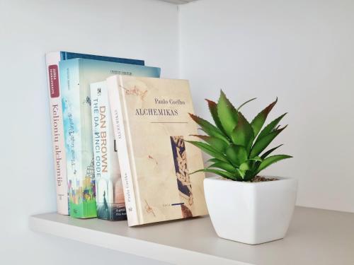a plant sitting on a shelf with books at MELODIJA apartments in Druskininkai center in Druskininkai