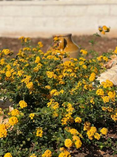 a bunch of yellow flowers in front of a vase at Dimora Caraspi in Mola di Bari
