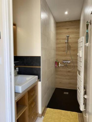 une petite salle de bain avec un lavabo et une douche dans l'établissement Appartement climatisé avec terrasse, à Cours-la-Ville