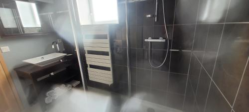 a bathroom with a shower and a sink at Belle maison en pierre avec cour in Huberville