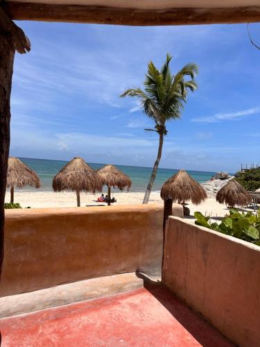 a view of a beach with straw umbrellas and a palm tree at La Conchita Tulum in Tulum