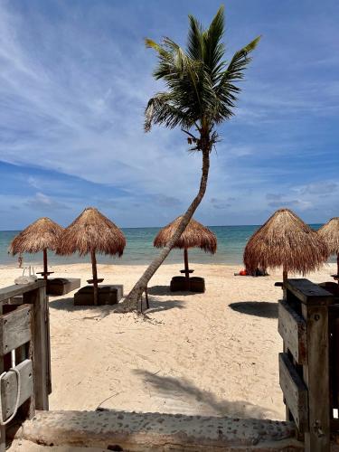 a beach with a palm tree and some straw umbrellas at La Conchita Tulum in Tulum