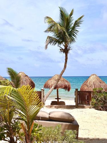 a beach with a palm tree and straw umbrellas and the ocean at La Conchita Tulum in Tulum