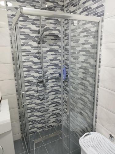 Koupelna v ubytování Apartman Sandi