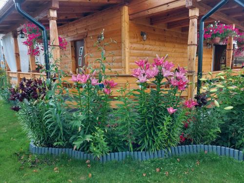 a garden with flowers in front of a wooden house at Siedlisko pod lipą in Józefów