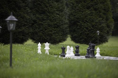 a chess game on a board in the grass at Pension Konopiste in Benešov