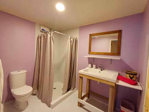 uma casa de banho com um WC, um lavatório e um espelho. em The Green Turtle Eco Lodge em Willemstad