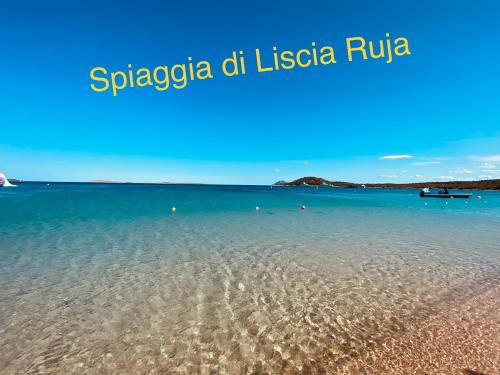Fotografie z fotogalerie ubytování MEDUSA apartment Baja Sardinia v destinaci Cala Bitta