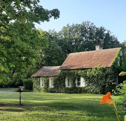 une maison avec du lierre dans une cour dans l'établissement Longère 2 pers au coeur de la Touraine, à Truyes