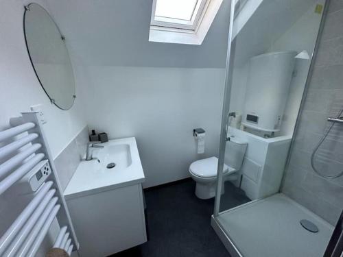 a bathroom with a toilet and a sink and a shower at Nid douillet in Pau