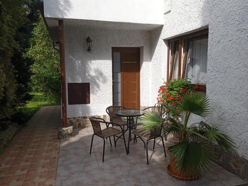 a patio with a table and chairs and a plant at Penzion Kalina in Tábor