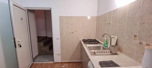 a small kitchen with a stove and a sink at Apartamente elegante in regim hotelier in Iaşi