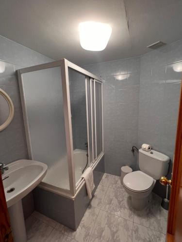 a bathroom with a shower and a toilet and a sink at Hostal mesón del cinca in El Grado