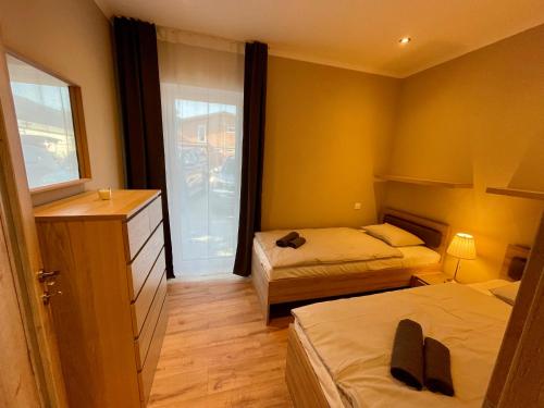 a hotel room with two beds and a window at Apartmány Lavender in Nova Dedinka