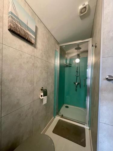 uma casa de banho com um chuveiro e um WC. em Chambre sur le bassin d'Arcachon em La Teste-de-Buch
