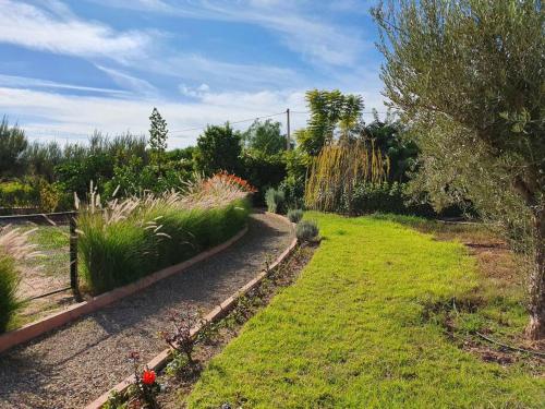 a garden with grass and plants and a path at Dar Lalla Mhalla Villa 975m2 5ch - Rt de Fes in Marrakesh