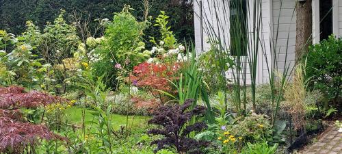 a garden with many different types of flowers at Dajan in Almere
