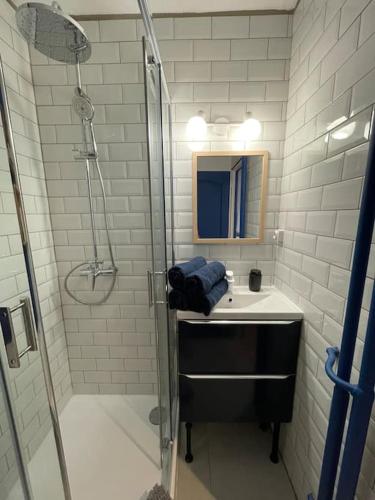 une salle de bain avec un lavabo et une douche dans l'établissement L'Open d'Australie, à Chalon-sur-Saône
