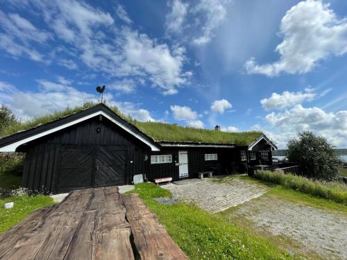 Sør-FronにあるSnikkerplassen - cabin with amazing view and hiking opportunitiesの草屋根の納屋