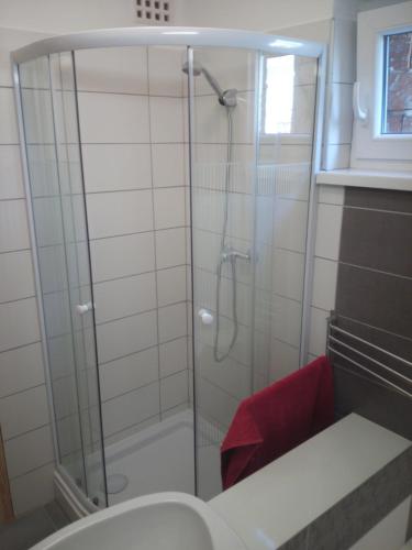 a shower with a glass door in a bathroom at Lenart House 1 in Siófok