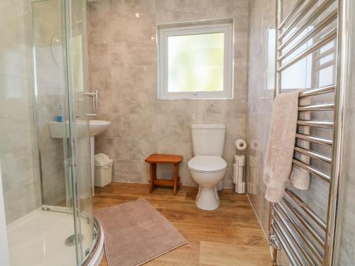 La salle de bains est pourvue de toilettes, d'un lavabo et d'une douche. dans l'établissement Stagsholt Lodge, à Washfield