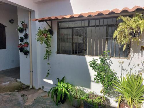 a white building with plants in front of a window at Confortáveis e práticas Kitnets em Belo Horizonte in Venda Nova