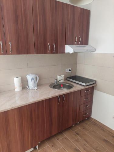 a kitchen with wooden cabinets and a sink at Apartman Todor in Veliko Gradište