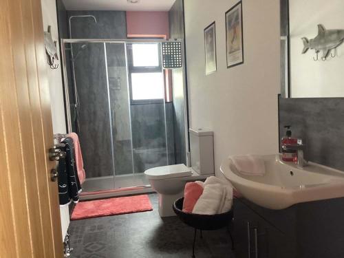 a bathroom with a shower and a toilet and a sink at River Cottage in Portglenone