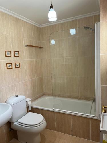 a bathroom with a toilet and a shower and a tub at Apartamento playa Vigo in Vigo