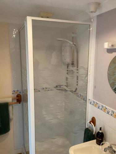 a bathroom with a shower and a sink at New Forest - The Nook at Tatchbury House in Ower