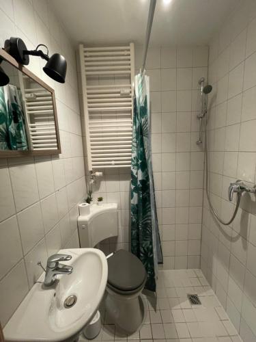 een badkamer met een toilet, een wastafel en een douche bij FeWo „Am Kanonenberg“ in Halberstadt
