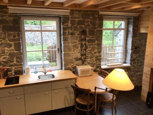 Una cocina con fregadero y dos ventanas. en L’eau et la pierre, en Yvoir