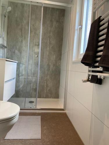 a bathroom with a shower and a toilet at Kindvriendelijk luxe chalet in de bossen met privé sauna in Harderwijk