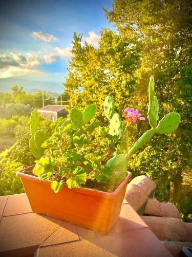 Linden House Etna – Photos 2