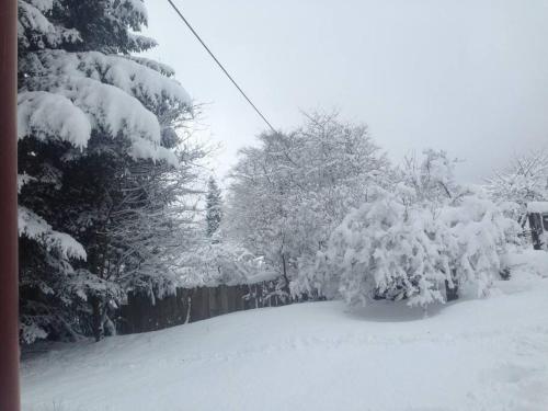 a snow covered yard with trees covered in snow at Chalupa Lučany in Lučany nad Nisou