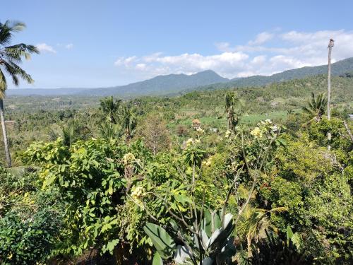 a view of a forest with mountains in the background at D'kailash Retreat in Singaraja