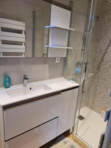 y baño con lavabo y ducha. en Dépendance-Appartement dans maison à Montgeron, en Montgeron