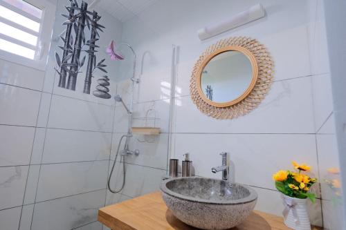Ducos的住宿－Résidence Terre et Passion，一间带水槽和镜子的浴室