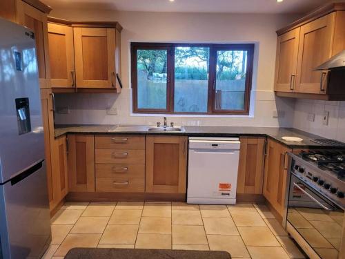 a kitchen with wooden cabinets and a white dishwasher at Brigadoon 3 bed Apartment with Stunning valley Veiws in Roundwood