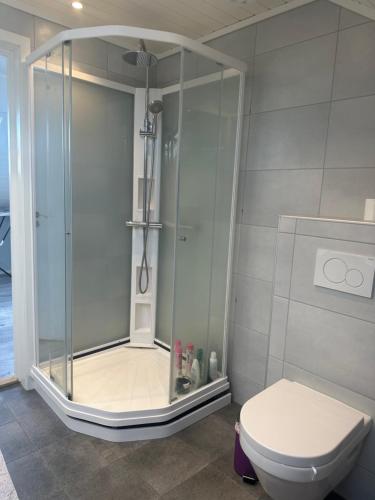 een badkamer met een douche en een toilet bij Nørvegata 64 in Ålesund