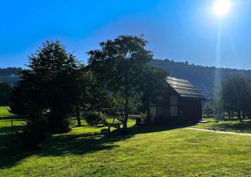 a small house in a grassy field next to a tree at Domki Adamus in Kudowa-Zdrój