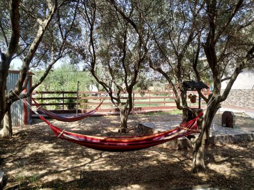 a hammock between two trees in a park at Andre House in Mesimvría